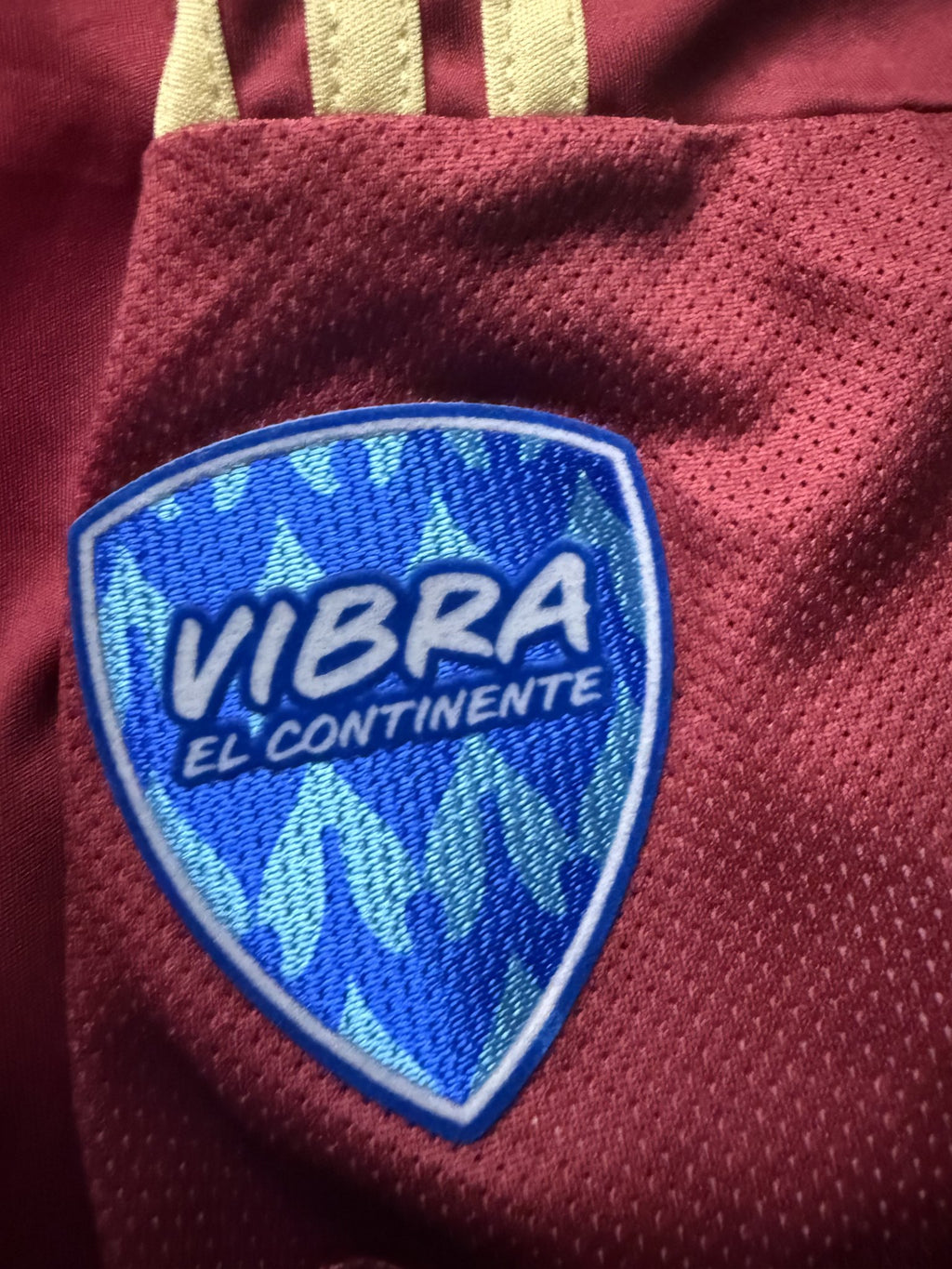Venezuela 2024 Copa América Home Jersey – Soteldo #10