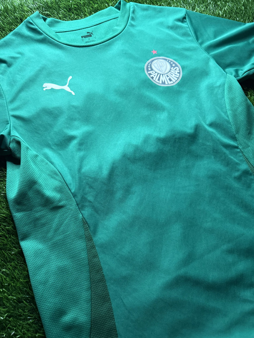 Palmeiras Green Home Jersey