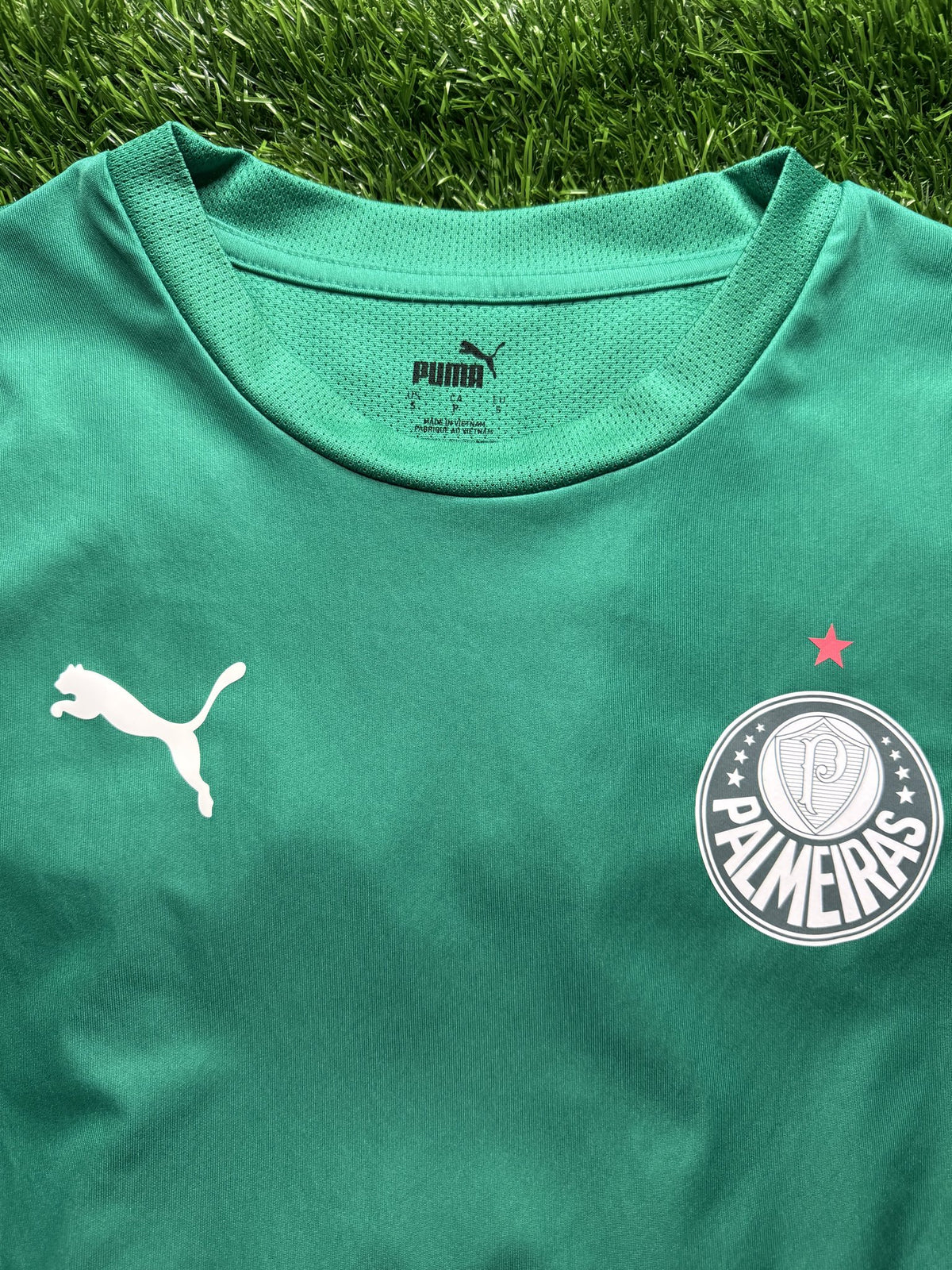 Palmeiras Green Home Jersey