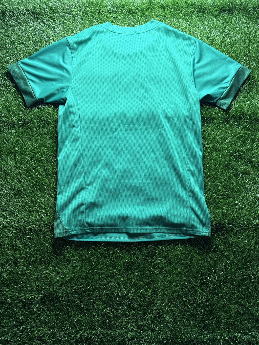 Palmeiras Green Home Jersey