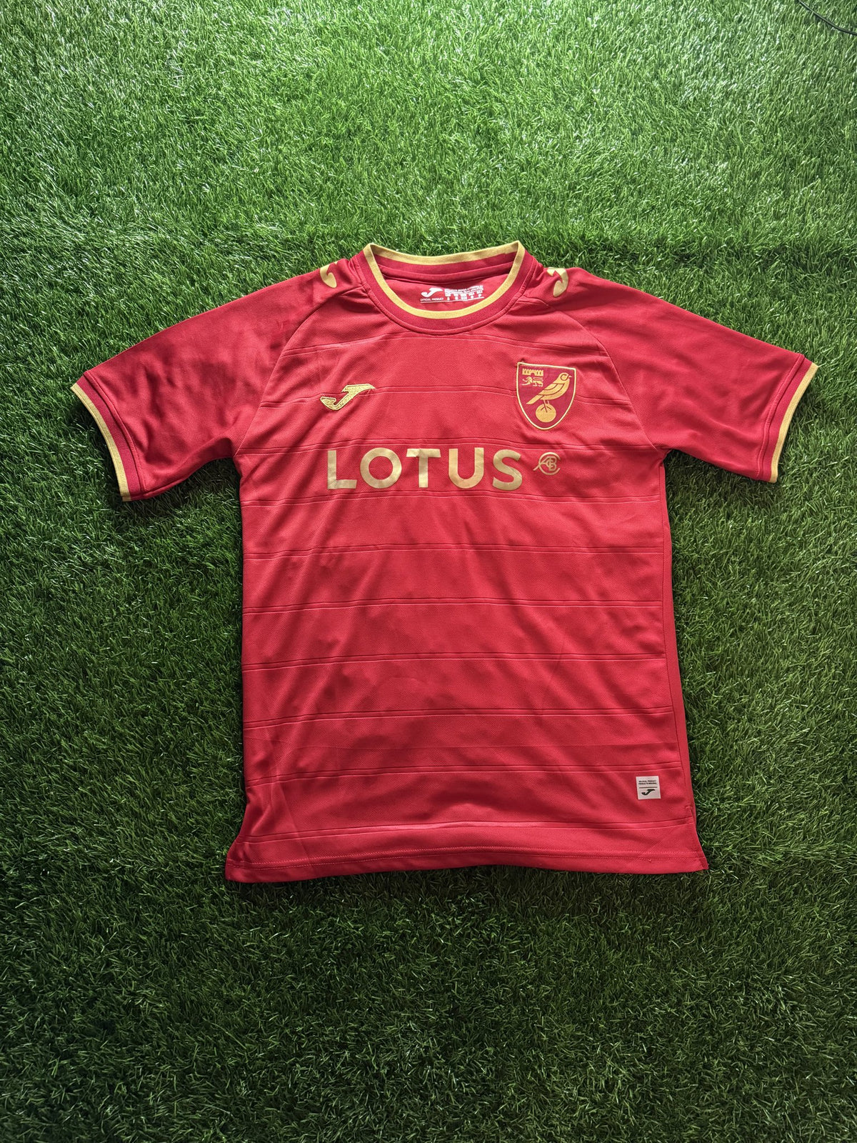 Norwich City Red Jersey – Pukki