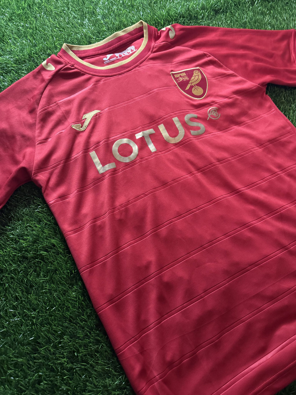 Norwich City Red Jersey – Pukki