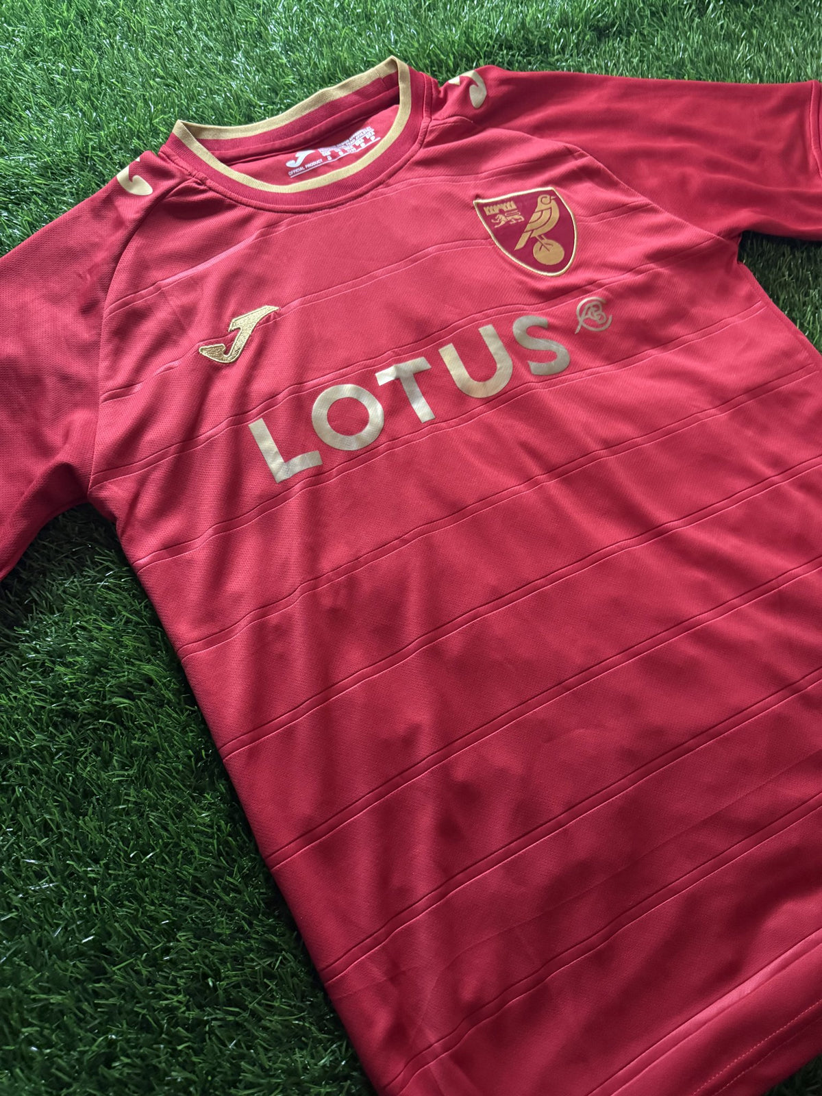 Norwich City Red Jersey – Pukki