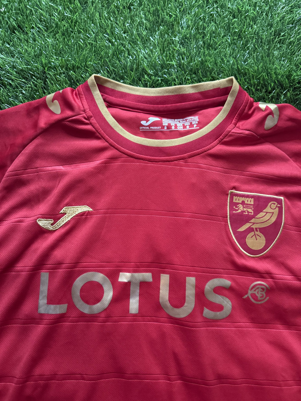 Norwich City Red Jersey – Pukki