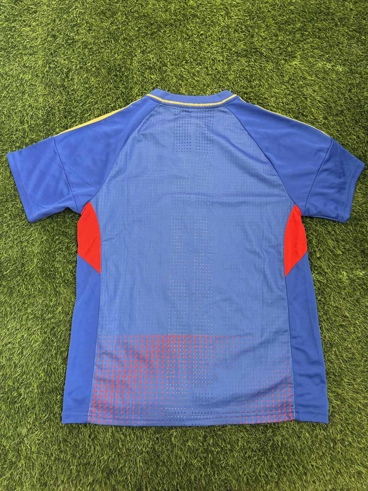 Olympique Lyonnais Blue Jersey